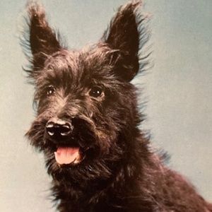 Hey You....Happy Poshing‼️